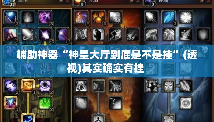 辅助神器“神皇大厅到底是不是挂”(透视)其实确实有挂 