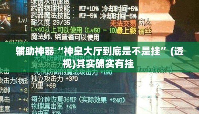 辅助神器“神皇大厅到底是不是挂	”(透视)其实确实有挂 