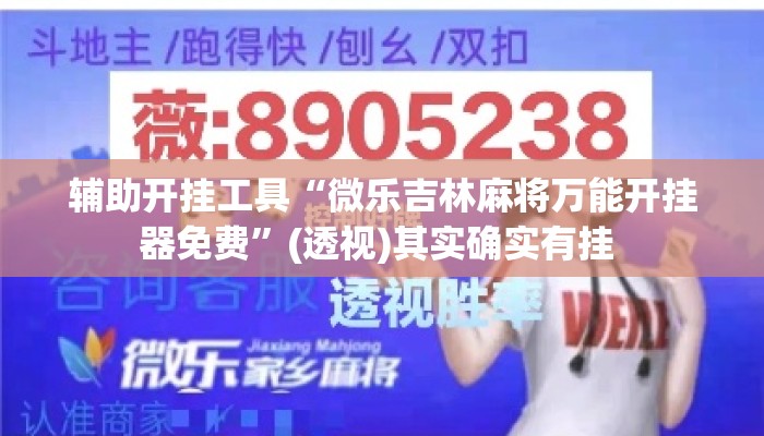 辅助开挂工具“微乐吉林麻将万能开挂器免费”(透视)其实确实有挂 