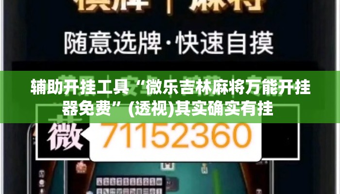 辅助开挂工具“微乐吉林麻将万能开挂器免费”(透视)其实确实有挂 