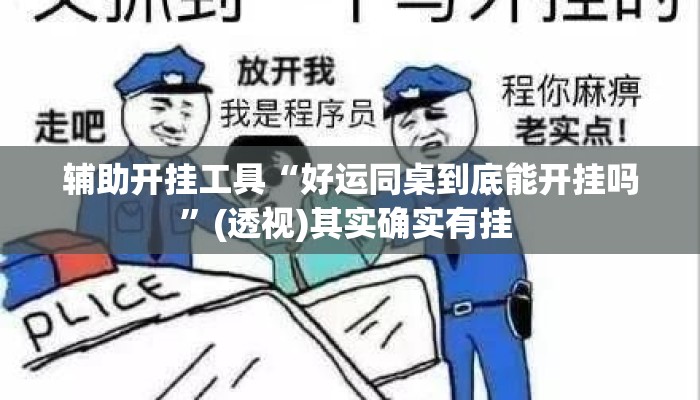 辅助开挂工具“好运同桌到底能开挂吗”(透视)其实确实有挂 