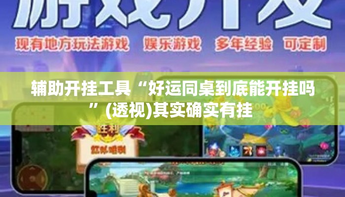 辅助开挂工具“好运同桌到底能开挂吗”(透视)其实确实有挂 