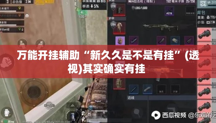 万能开挂辅助“新久久是不是有挂”(透视)其实确实有挂 
