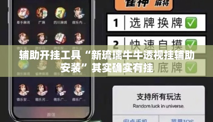 辅助开挂工具“新琉璃牛牛透视挂辅助安装	”其实确实有挂