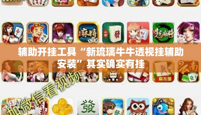 辅助开挂工具“新琉璃牛牛透视挂辅助安装”其实确实有挂