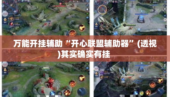 万能开挂辅助“开心联盟辅助器”(透视)其实确实有挂 