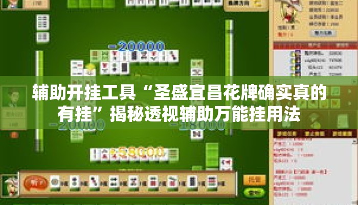 辅助开挂工具“圣盛宜昌花牌确实真的有挂”揭秘透视辅助万能挂用法