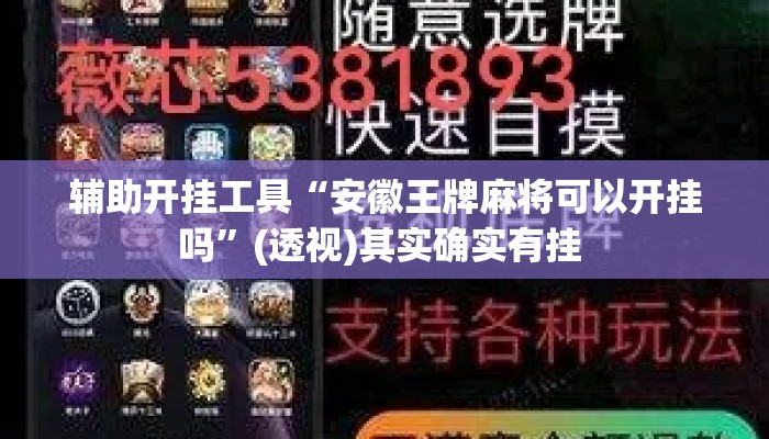 辅助开挂工具“安徽王牌麻将可以开挂吗”(透视)其实确实有挂 