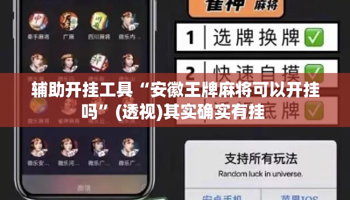 辅助开挂工具“安徽王牌麻将可以开挂吗”(透视)其实确实有挂 