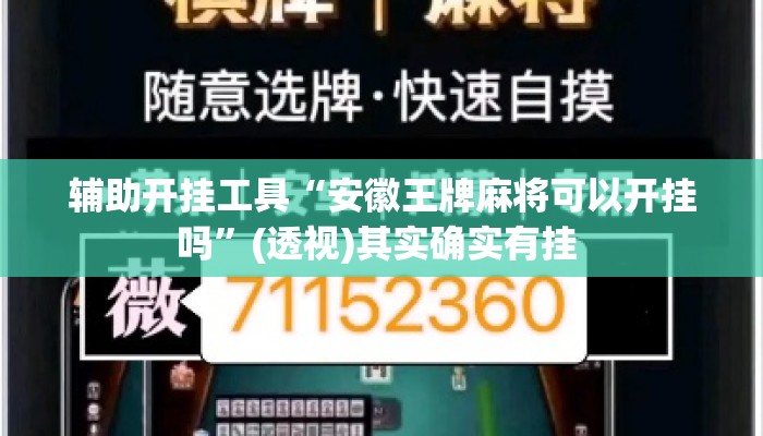 辅助开挂工具“安徽王牌麻将可以开挂吗”(透视)其实确实有挂 