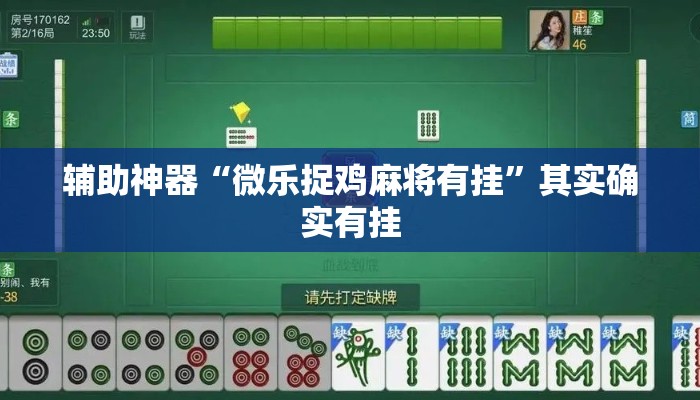 辅助神器“微乐捉鸡麻将有挂	”其实确实有挂