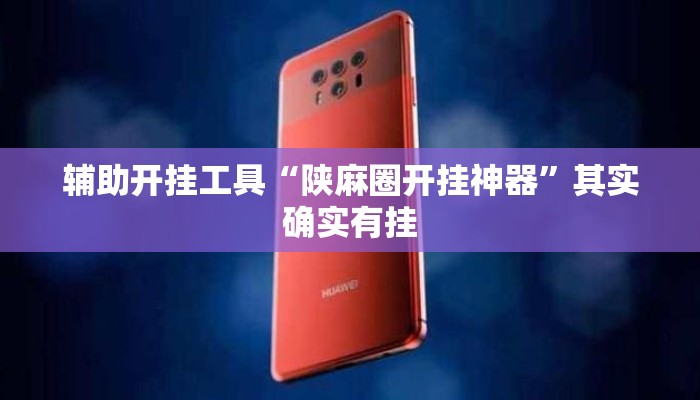 辅助开挂工具“陕麻圈开挂神器”其实确实有挂