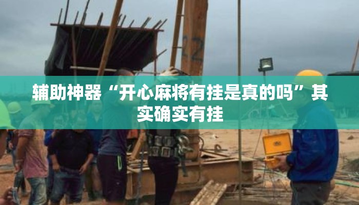 辅助神器“开心麻将有挂是真的吗”其实确实有挂