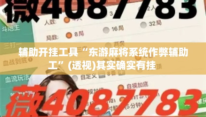 辅助开挂工具“东游麻将系统作弊辅助工”(透视)其实确实有挂 