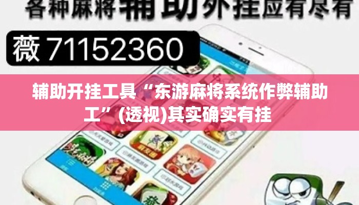 辅助开挂工具“东游麻将系统作弊辅助工”(透视)其实确实有挂 