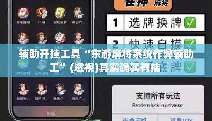 辅助开挂工具“东游麻将系统作弊辅助工”(透视)其实确实有挂 