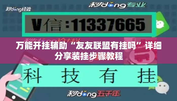 万能开挂辅助“友友联盟有挂吗”详细分享装挂步骤教程