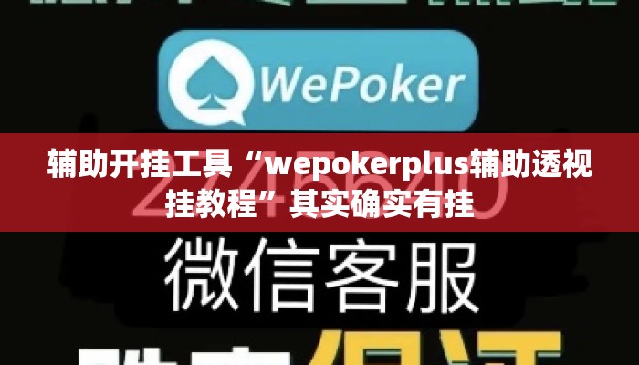 辅助开挂工具“wepokerplus辅助透视挂教程”其实确实有挂
