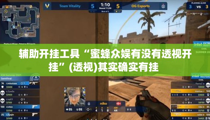辅助开挂工具“蜜蜂众娱有没有透视开挂”(透视)其实确实有挂 