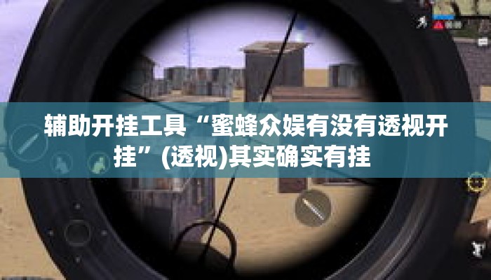辅助开挂工具“蜜蜂众娱有没有透视开挂”(透视)其实确实有挂 