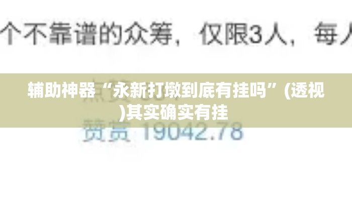 辅助神器“永新打墩到底有挂吗	”(透视)其实确实有挂 