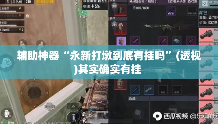 辅助神器“永新打墩到底有挂吗”(透视)其实确实有挂 