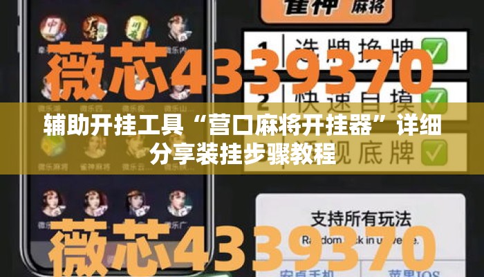 辅助开挂工具“营口麻将开挂器	”详细分享装挂步骤教程