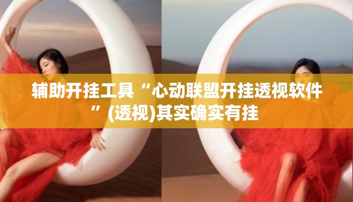 辅助开挂工具“心动联盟开挂透视软件”(透视)其实确实有挂 