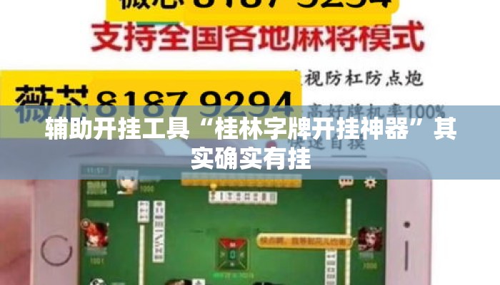 辅助开挂工具“桂林字牌开挂神器	”其实确实有挂