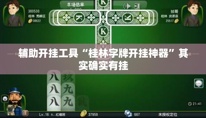 辅助开挂工具“桂林字牌开挂神器”其实确实有挂