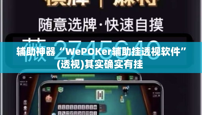 辅助神器“WePOKer辅助挂透视软件	”(透视)其实确实有挂 