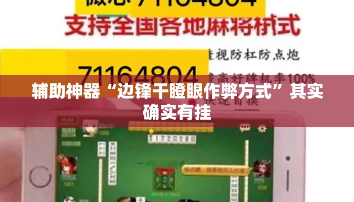 辅助神器“边锋干瞪眼作弊方式”其实确实有挂