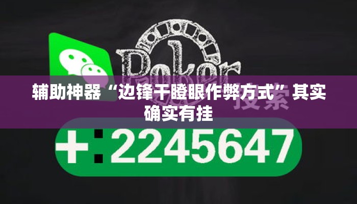 辅助神器“边锋干瞪眼作弊方式”其实确实有挂