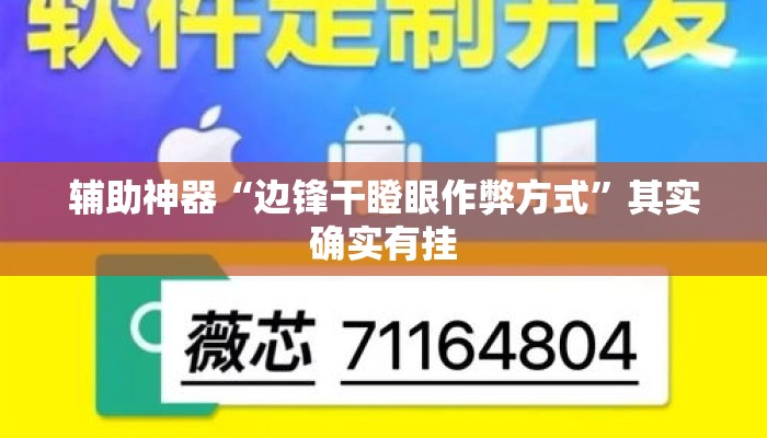 辅助神器“边锋干瞪眼作弊方式”其实确实有挂