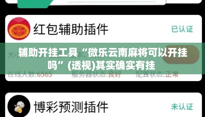 辅助开挂工具“微乐云南麻将可以开挂吗	”(透视)其实确实有挂 