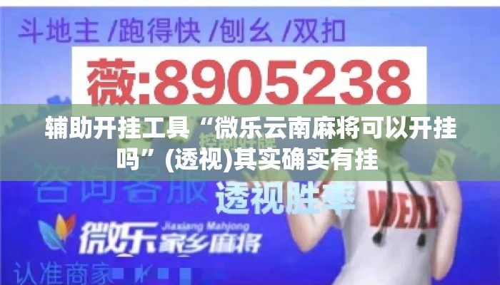 辅助开挂工具“微乐云南麻将可以开挂吗”(透视)其实确实有挂 
