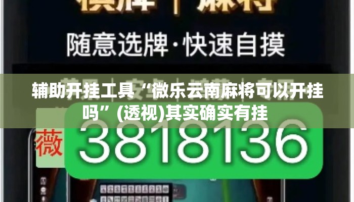 辅助开挂工具“微乐云南麻将可以开挂吗	”(透视)其实确实有挂 