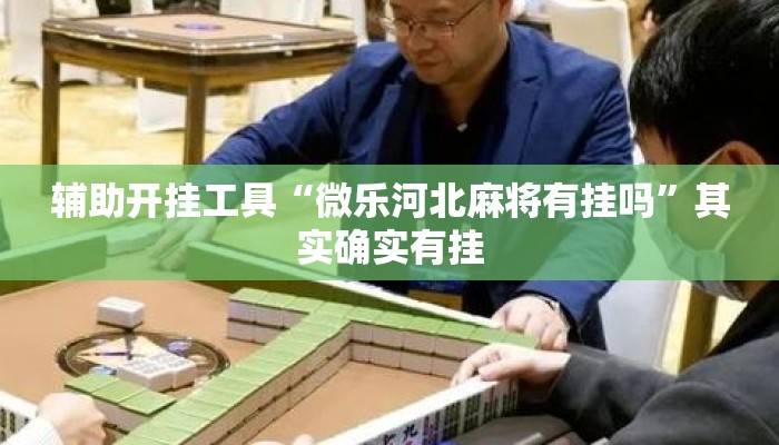 辅助开挂工具“微乐河北麻将有挂吗	”其实确实有挂
