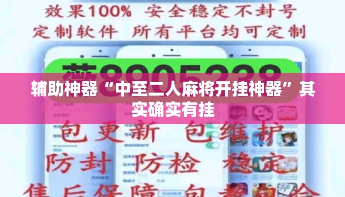 辅助神器“中至二人麻将开挂神器”其实确实有挂