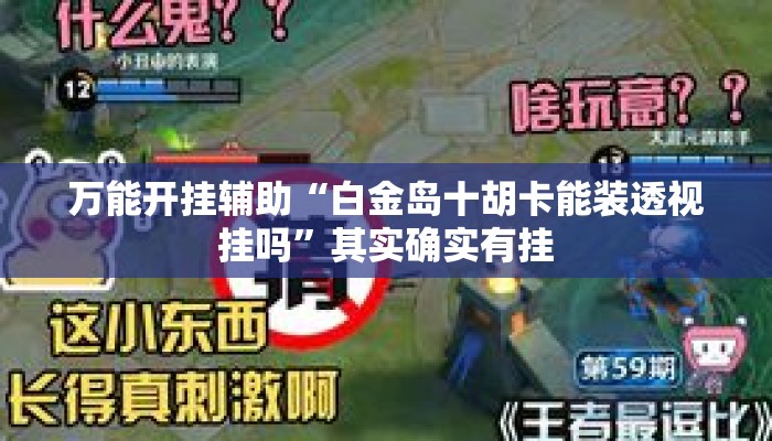 万能开挂辅助“白金岛十胡卡能装透视挂吗”其实确实有挂
