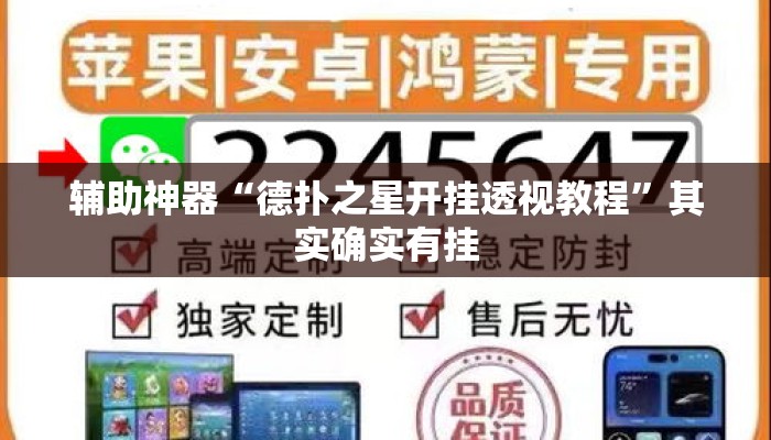 辅助神器“德扑之星开挂透视教程”其实确实有挂