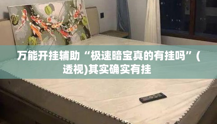 万能开挂辅助“极速暗宝真的有挂吗	”(透视)其实确实有挂 