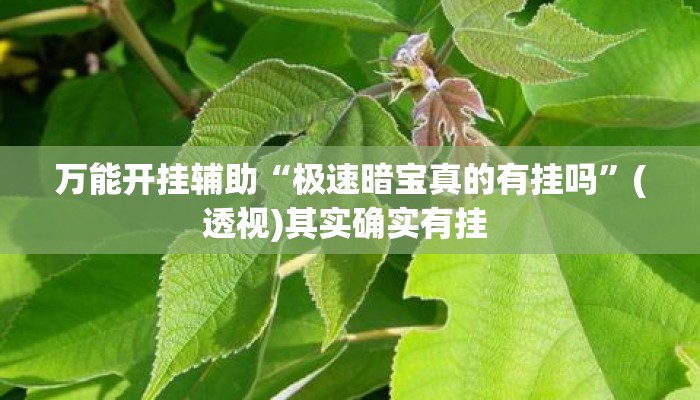 万能开挂辅助“极速暗宝真的有挂吗”(透视)其实确实有挂 