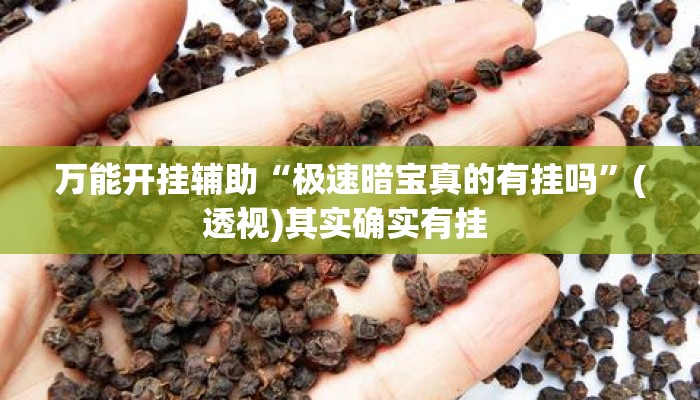 万能开挂辅助“极速暗宝真的有挂吗	”(透视)其实确实有挂 
