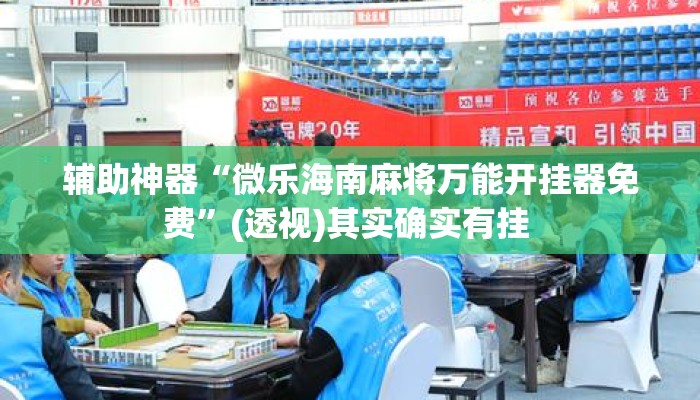 辅助神器“微乐海南麻将万能开挂器免费”(透视)其实确实有挂 