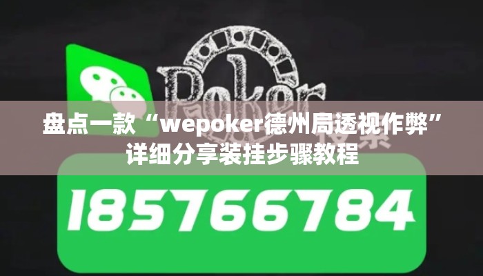 盘点一款“wepoker德州局透视作弊”详细分享装挂步骤教程