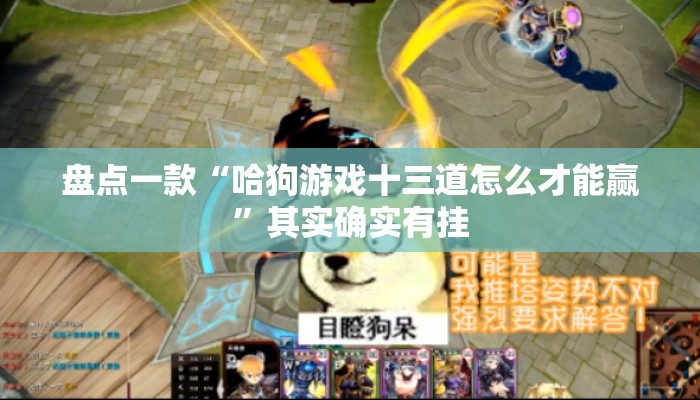 盘点一款“哈狗游戏十三道怎么才能赢”其实确实有挂