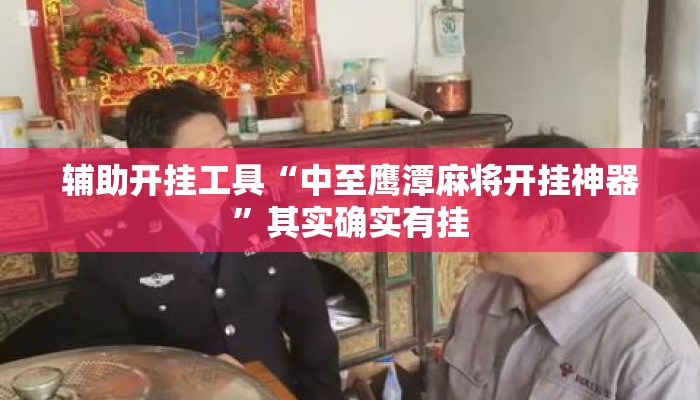 辅助开挂工具“中至鹰潭麻将开挂神器”其实确实有挂