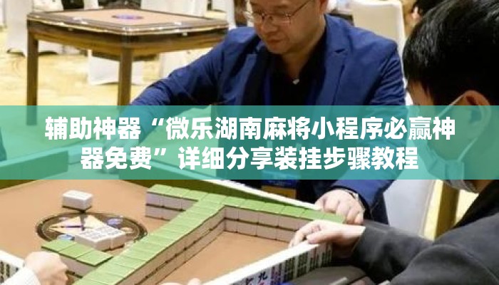 辅助神器“微乐湖南麻将小程序必赢神器免费”详细分享装挂步骤教程