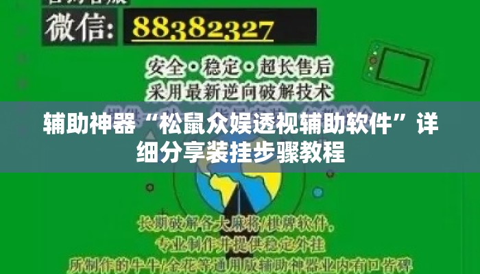 辅助神器“松鼠众娱透视辅助软件”详细分享装挂步骤教程